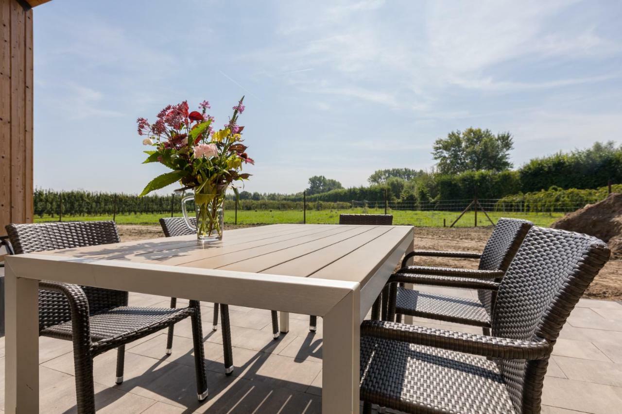 Welcome In - Vakantiehuis 6 En 12 Personen, Vroondijk In フラウヴェンポルデル エクステリア 写真